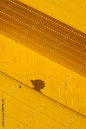 Wood