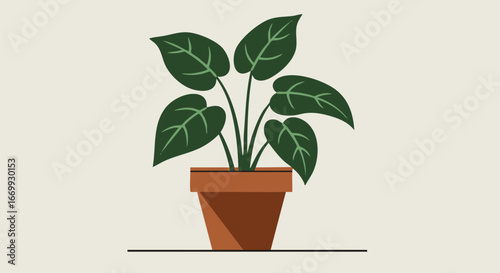 Potted Plant