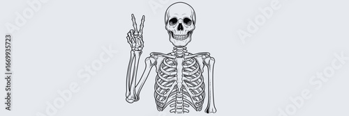 Minimal line art skeleton making peace sign on white background