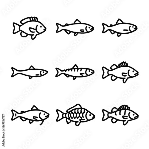 Local Catch Icons. Outline icon set of local catch species: tilapia, trout, salmon, sardine, mackerel, bass, catfish, carp, perch.