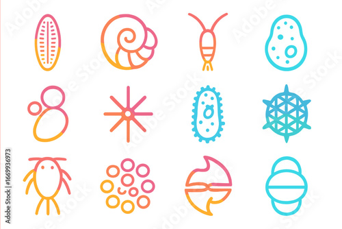 Marine Microscopy Icons. Gradient icons set of marine microscopy structures: diatom frustule, foraminifera shell, copepod antenna,