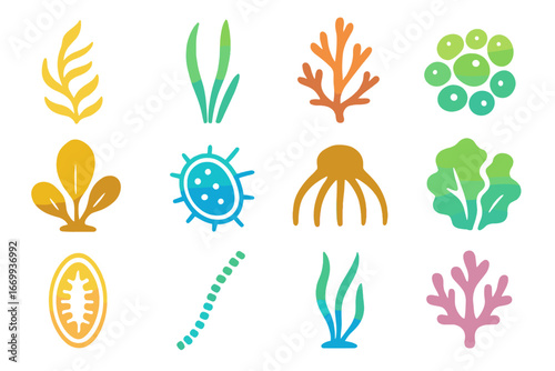 Marine Plant Icons. Gradient icons set of marine plants and algae: kelp frond, seagrass blade, red algae branch, green algae