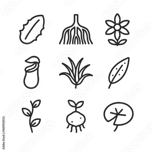 Plant Adaptations Icons. Outline icon set of plant adaptations: succulent leaf, mangrove roots, alpine flower, carnivorous pitcher