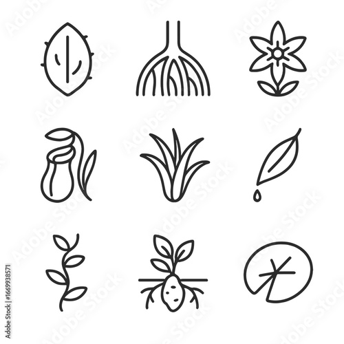 Plant Adaptations Icons. Outline icon set of plant adaptations: succulent leaf, mangrove roots, alpine flower, carnivorous pitcher