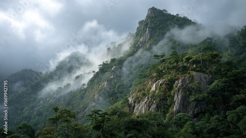 Misty Mountain Landscape: Lush Green Rainforest, Dramatic Cliffs, and Rolling Clouds