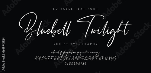 Script Elegant Signature Typeface. Lettering signature font isolated on background. brush style alphabet. Vector logo letters.
