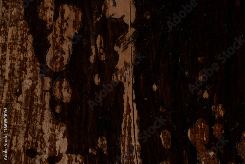Canvas Print Old wooden board with peeling paint and varnish, the surface has abrasions, chip