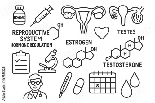 Hormone Regulation Doodles. Hand-drawn doodle illustration reproductive system hormone regulation hormone vial, syringe, ovaries,