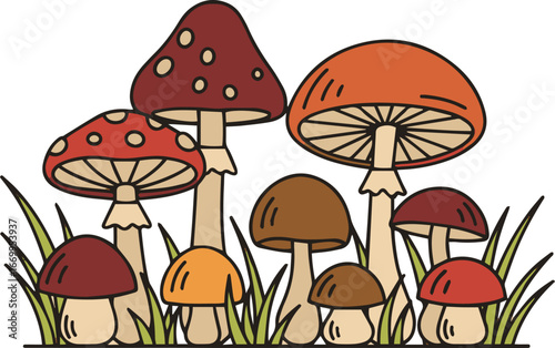 A whimsical collection of diverse forest fungi, featuring colorful illustrated mushrooms growing in the grass