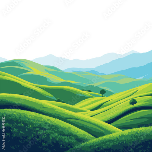 Green terraced rice fields landscape