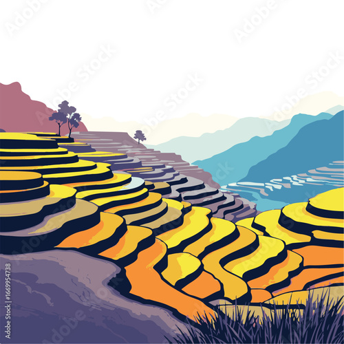 Golden terraced farming land scenery