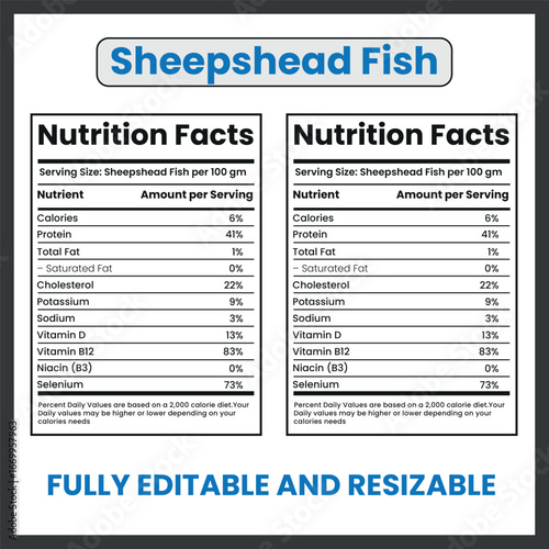 Sheepshead Fish Vector Illustration
