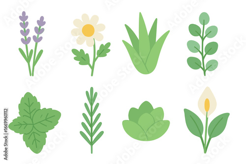 Calm Plant Icons. Flat vector mini-illustrations calm plants in colors children's illustrations: lavender, chamomile, aloe vera,