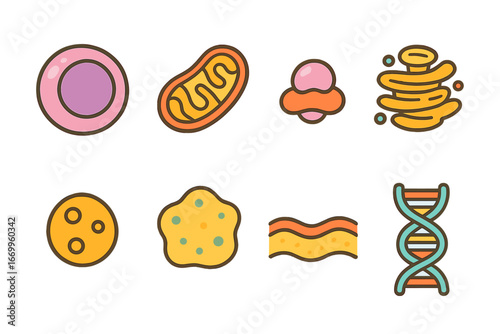 Cell Components Icons. Flat vector mini-illustrations cell components in colors children's illustrations: nucleus, mitochondria,
