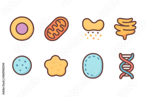 Cell Components Icons. Flat vector mini-illustrations cell components in colors children's illustrations: nucleus, mitochondria,