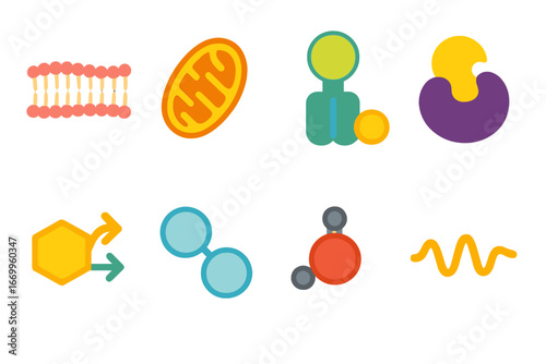 Cell Metabolism Icons. Flat vector mini-illustrations cellular metabolism in colors children's illustrations: cell membrane,
