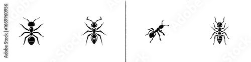 Stylized Black Ants Collection on White Background, minimalist monochrome icons