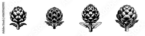 Artichoke botanical elements with leaves and stem, linocut style, minimalist monochrome icons