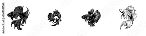 Siamese Fighting Fish with Flowing Fins in Black and White, minimalist monochrome icons