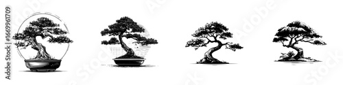 Stylized bonsai trees in black and white ink sketch style, minimalist monochrome icons