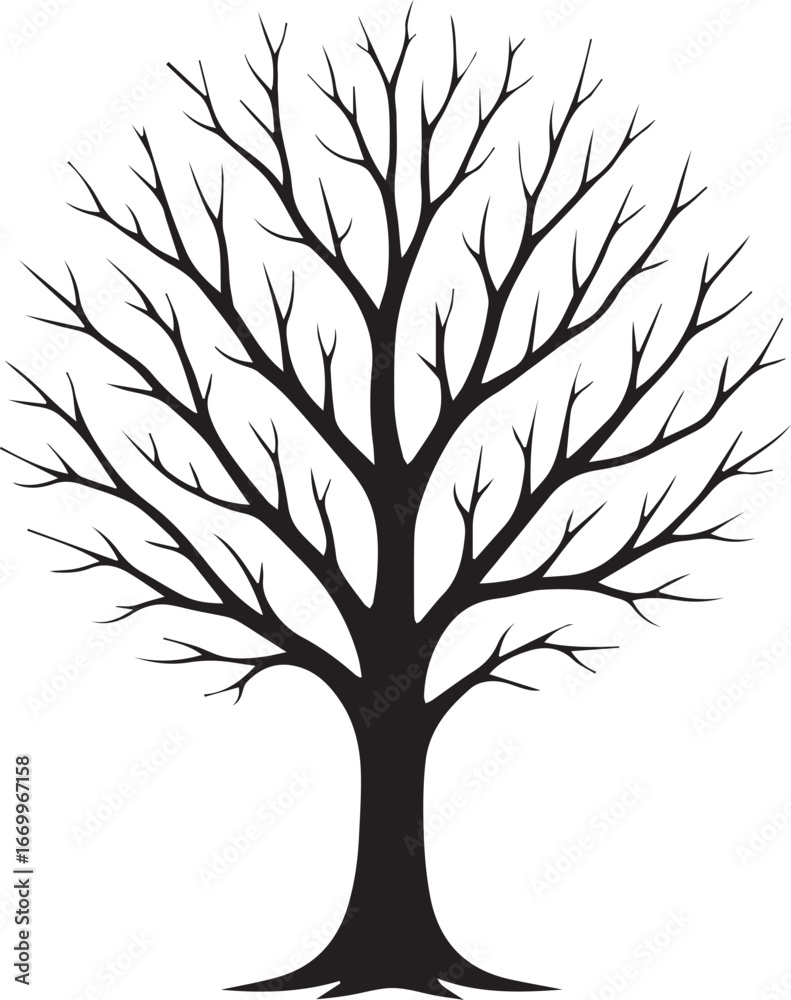 Obraz premium The Bare Tree