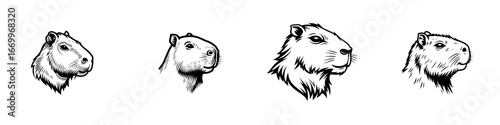 Capybara head portraits in sketch style, diverse angles and expressions, minimalist monochrome icons