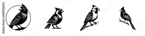 Cardinal Bird Designs Black and White, minimalist monochrome icons