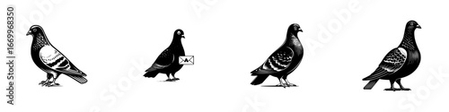 Four pigeons in silhouette, one carrying a letter, minimalist monochrome icons