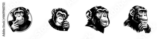 Intelligent chimpanzee portraits with thoughtful poses and expressive faces, black and white line art, minimalist monochrome icons