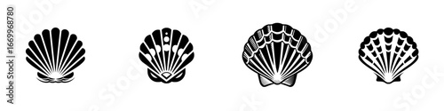 Stylized scallop shells in black and white, marine life and ocean themes, minimalist monochrome icons