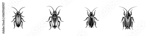 Four stylized cockroaches viewed from above, black and white, detailed legs and antennae, minimalist monochrome icons