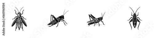 Grasshopper Silhouettes in Multiple Poses and Angles, minimalist monochrome icons