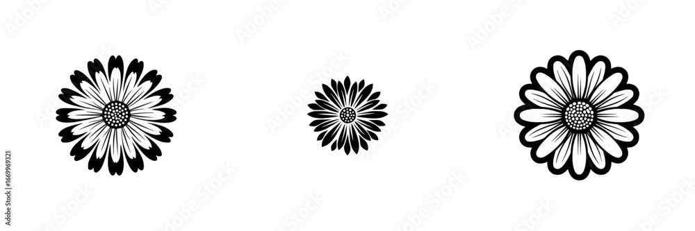 Fototapeta premium Black and white daisy flower graphic elements, simple floral design, minimalist monochrome icons