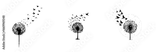 Dandelion seeds transform into flying birds silhouette on white, minimalist monochrome icons