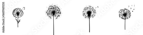 Dandelion seed head with flying seeds and leaves, black silhouette on white background, minimalist monochrome icons