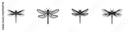 Four stylized black dragonflies with detailed wings and segmented bodies, minimalist monochrome icons