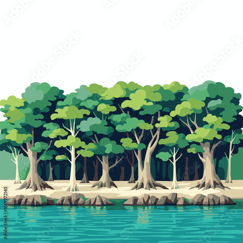 Mangrove trees lined on shore water