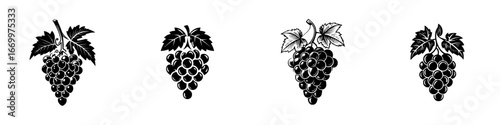 Grapes Silhouette with Leaves, minimalist monochrome icons