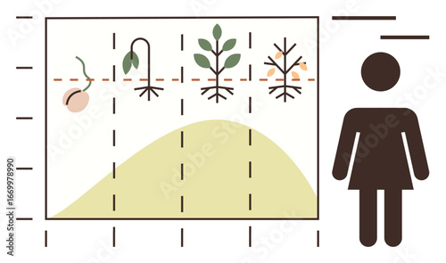 Plant growth stages from seed to wilt shown with timeline chart and a female figure. Ideal for biology, progress visualization, life cycle, education, sustainability, health awareness, simple flat