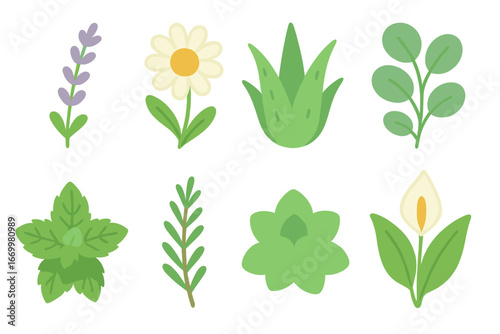 Peaceful Plant Icons. Flat vector mini-illustrations peaceful plants in colors children's illustrations: lavender sprig, chamomile