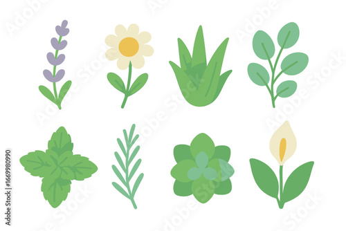 Peaceful Plant Icons. Flat vector mini-illustrations peaceful plants in colors children's illustrations: lavender sprig, chamomile