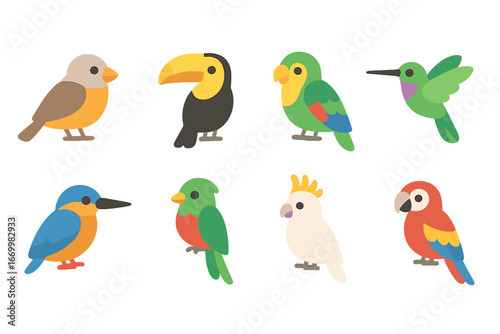 Tropical Birds Grid. Flat vector mini-illustrations tropical birds in colors children's illustrations: finch, toucan, parrot,
