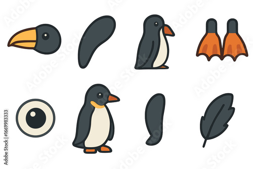 Wildlife Conservation Illustrations. Flat vector mini-illustrations toucan conservation in colors children's illustrations:
