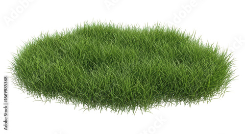Tableau sur toile Isolated Grass