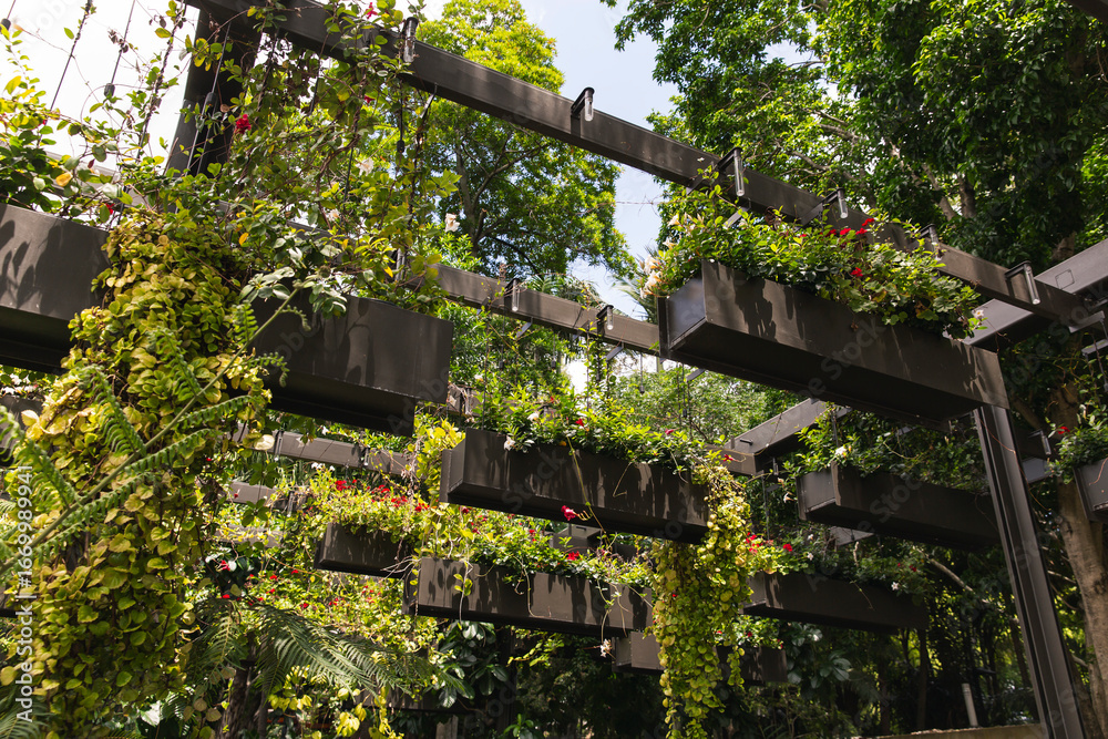 Fototapeta premium Hanging rectangular planters filled with trailing greenery and red flowers on modern black metal trellis structure in lush outdoor garden setting
