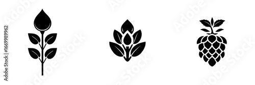 Floral and botanical designs featuring rose, bud, and hop symbols in minimalist style on plain background