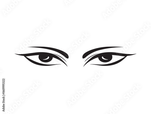 Professional Eyes Icon in Modern Minimal Clean Vector Illustration Artwork