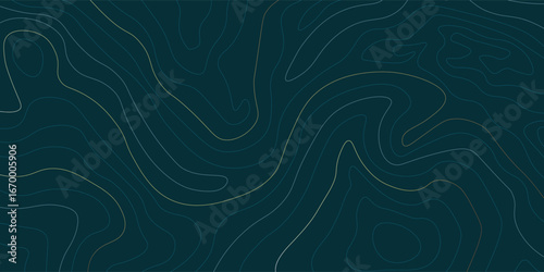 Luxury abstract line art background. Topograhic map background with golden lines. Ideal for wall arts, packaging, banner, wallpaper, fabric , web, app designs