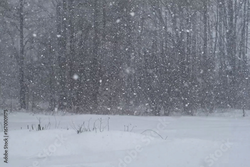Canvas Print Blurred defocused background of Heavy snowfall