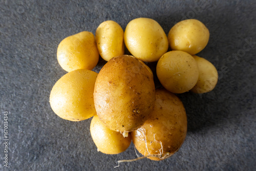 Stockholm, Sweden A handful of homegrown potatoes on a kitchen countertop.
